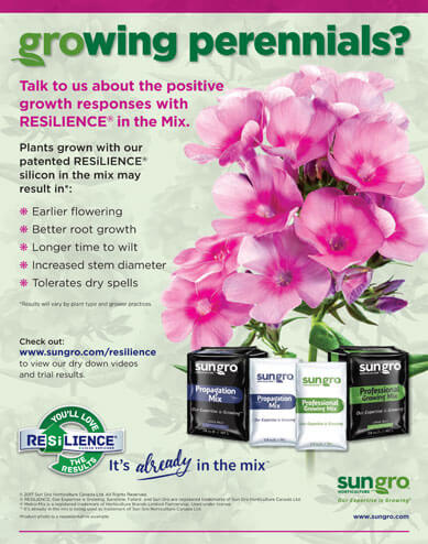 Image of flowers with text that says Resilience yields positive growth