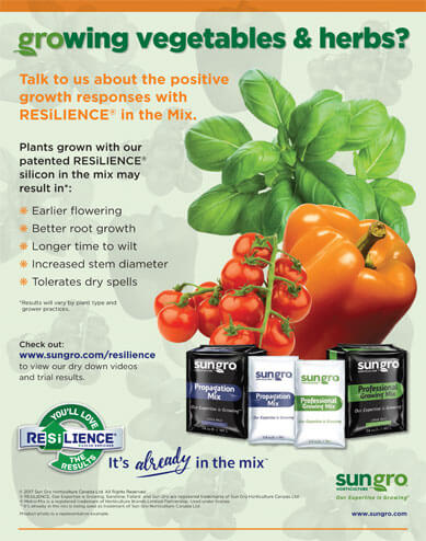Image of vegetables and herbs with text that says Resilience yields positive growth