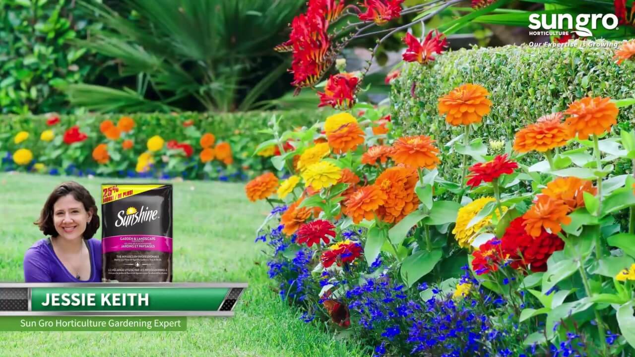 Sunshine® Landscape and Planting Mix Canada