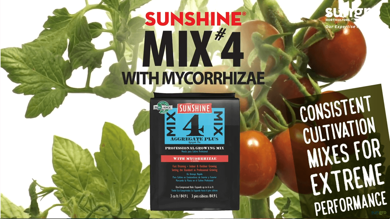 Sunshine Mix #4 with Mycorrhizae Featured Image