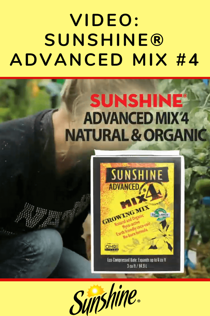 Sunshine Advanced Mix #4 Natural & Organic Video Ad