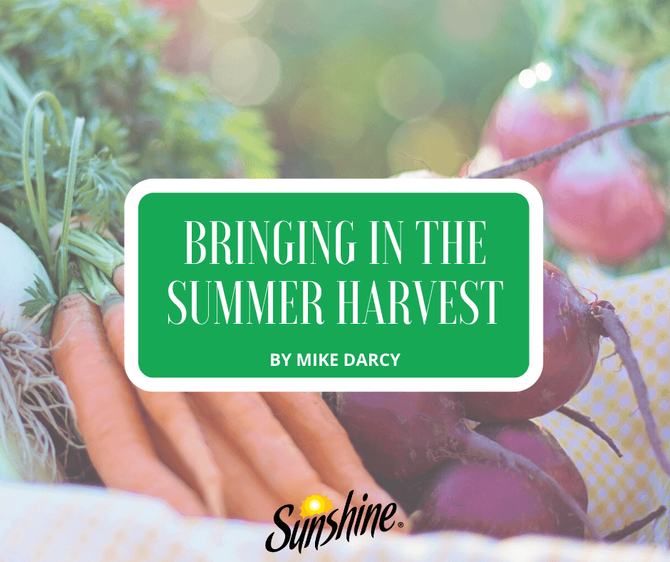 Bringing in the Summer Harvest
