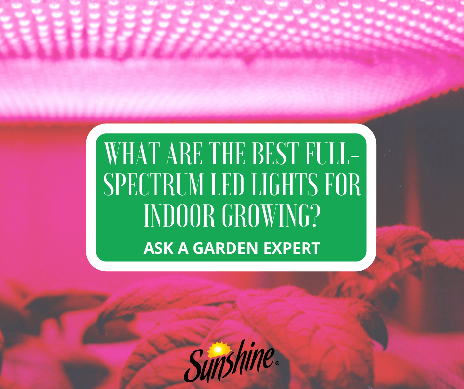 What Are the Best Full-Spectrum LED Lights for Indoor Growing?