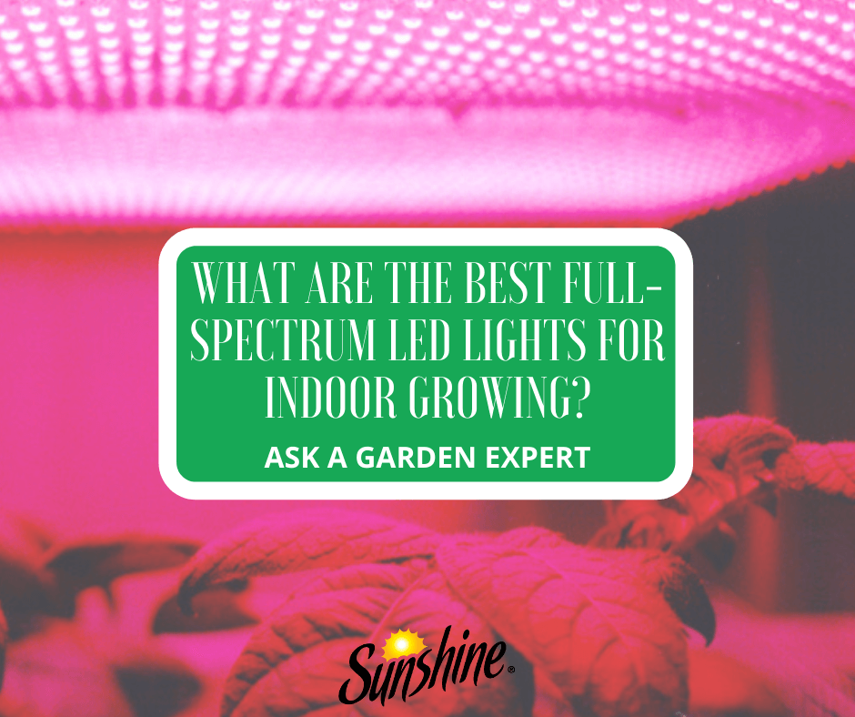 Best full online spectrum grow lights